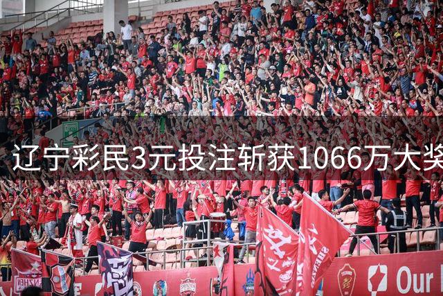 辽宁彩民3元投注斩获1066万大奖 奖金规划家庭保障